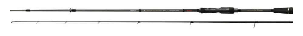 Alleen Vandaag FineMaster Spinning 2.20m 8-25g