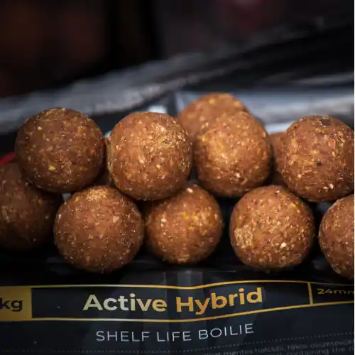 4baiting Párolt bojli 1kg 24mm - Active Hybrid Laatste Versie