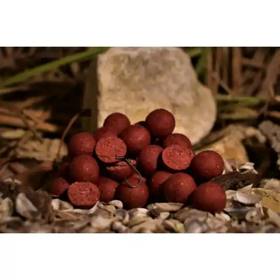 Balaton Baits Spiced Etetőbojli 24mm 5kgint.hu Rechtstreeks Van De Fabrikant